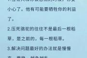 新手必看！抖音快速吸粉的5大核心技巧与避坑指南，新手必看