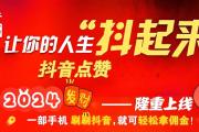 从0到100万赞！揭秘抖音热门技术全套实战指南，0到100万赞实战攻略