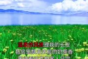 5个技巧让你的草原短视频在抖音轻松破百万播放量，抖音爆款草原短视频秘籍